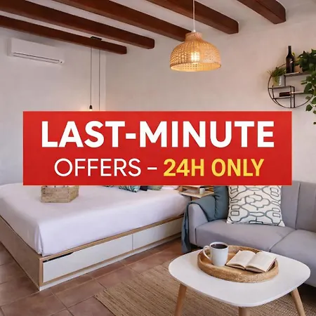 Apartment Loft Penthouse With Private Terrace